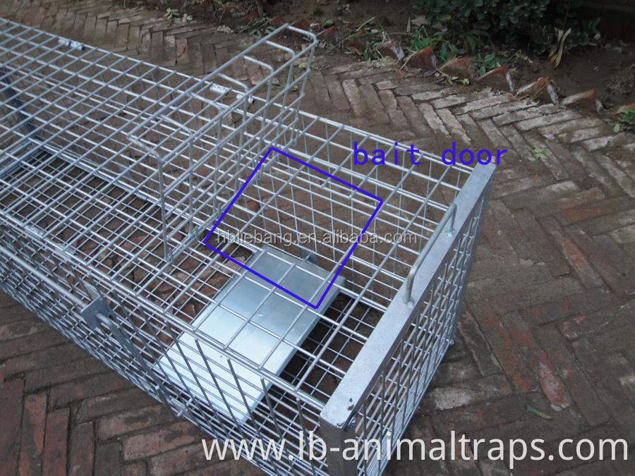 Humane Collapsible Live Animal Trap Cage Fox Traps For Sale